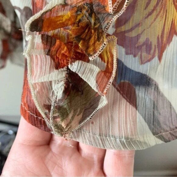 Zara Women’s Blouse Fall Leaf Ruffle Long Sleeve Peasant Flutter Sleeve Sheer M - Picture 12 of 16